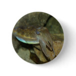 Cute Cuttlefish Pinback Buttons
