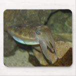 Cute Cuttlefish Mousepad