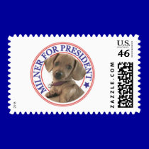 Cute Dachhund for President Small Postage Stamps