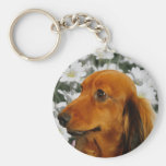 Cute Dachshund (Brown Long Haired) in Flowers Key Chains