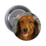 Cute Dachshund (Brown Long Haired) Wild Flowers Button