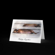 Cute Dachshund Card cards