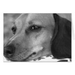 Cute dachshund greeting cards