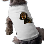 Cute Dachshund ( Miniature Brown Short Haired ) Dog Tee Shirt