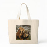 Cute Dachshund Puppies (Brown/Black) bags