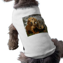 Cute Dachshund Puppies (Brown/Black) Doggie T Shirt