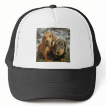 Cute Dachshund Puppies (Brown/Black) Hats