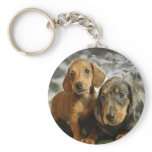 Cute Dachshund Puppies (Brown/Black) Keychain