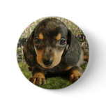 Cute Dachshund  Puppy (Black/Grey) on the Lake buttons