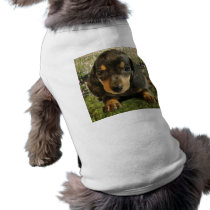 Cute Dachshund  Puppy (Black/Grey) on the Lake Pet Clothing