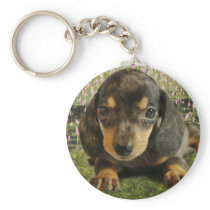 Cute Dachshund  Puppy (Black/Grey) on the Lake Keychain