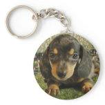 Cute Dachshund  Puppy (Black/Grey) on the Lake Keychain
