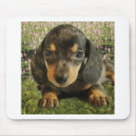 Cute Dachshund  Puppy (Black/Grey) on the Lake Mouse Pad