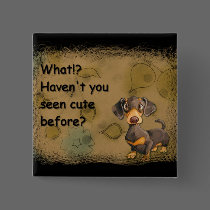 cute dachshund square button by quacked cute dachshund square button