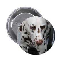 Cute Dalmatian  Button