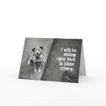 Cute Dalmatian "I'm Sorry" card by BluePlanet Cute Dalmatian "I'm Sorry" card