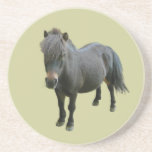 Cute Dartmoor Pony Coaster coasters