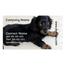 Cute Daschund  Business Card
