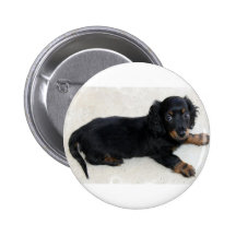 Cute Daschund Button