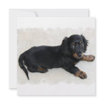Cute Daschund  Invitations