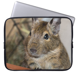 cute_degu_laptop_sleeve-r8adfccef4c4748508118deb0aa478de0_arp6m_8byvr_324.jpg