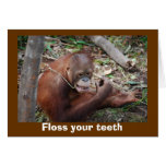 Cute Dental Health Advice for Teeth cards