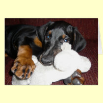 Cute Doberman Pinscher Puppy - Blank Note Card cards
