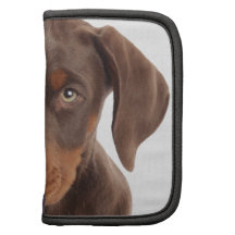 Cute doberman pinscher puppy dog organizers