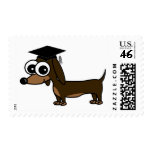 Cute Dog 2011 Graduation Postage