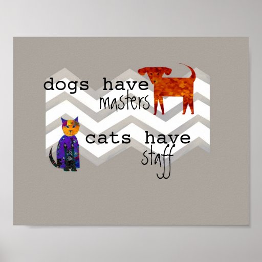 cute dog and cat poster humorous quote
