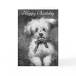 Cute Dog Birthday Card
