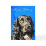 Cute Dog Birthday Card