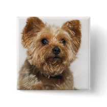 Cute Dog Button Badge