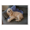 Cute Dog cards
