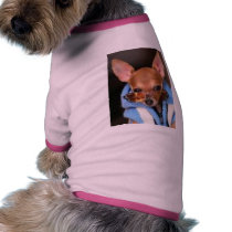 cute dog pet clothing
