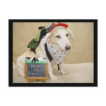 Cute Dog Funny Back to School Post Card