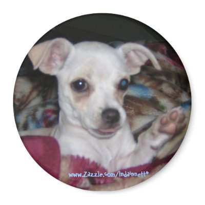 Cute Dog-Magnet. by Indainnett