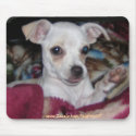 Cute Dog-MousePad. by Indainnett Cute Dog-MousePad.