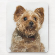 Cute Dog Mousepad