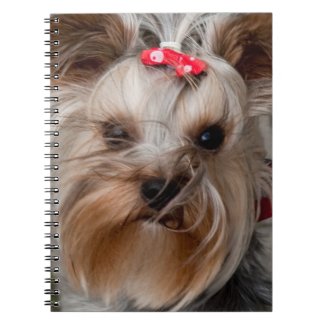 Cute dog notebook