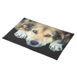 Cute dog on any color background place mats