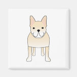 Cute Dog. Pale Cream French Bulldog. Magnets