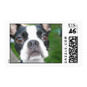 Cute dog Postage postage