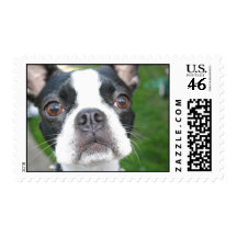 Cute dog Postage
