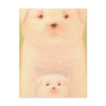 Cute Dog Postcard