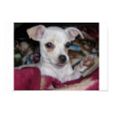 Cute Dog-Print. by Indainnett Cute Dog-Print.