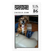 Cute dog stamp template