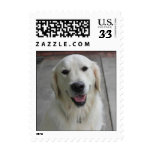 Cute dog stamp template stamps