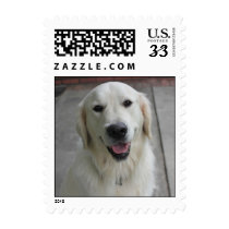 Cute dog stamp template stamps