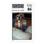 Cute dog stamp template